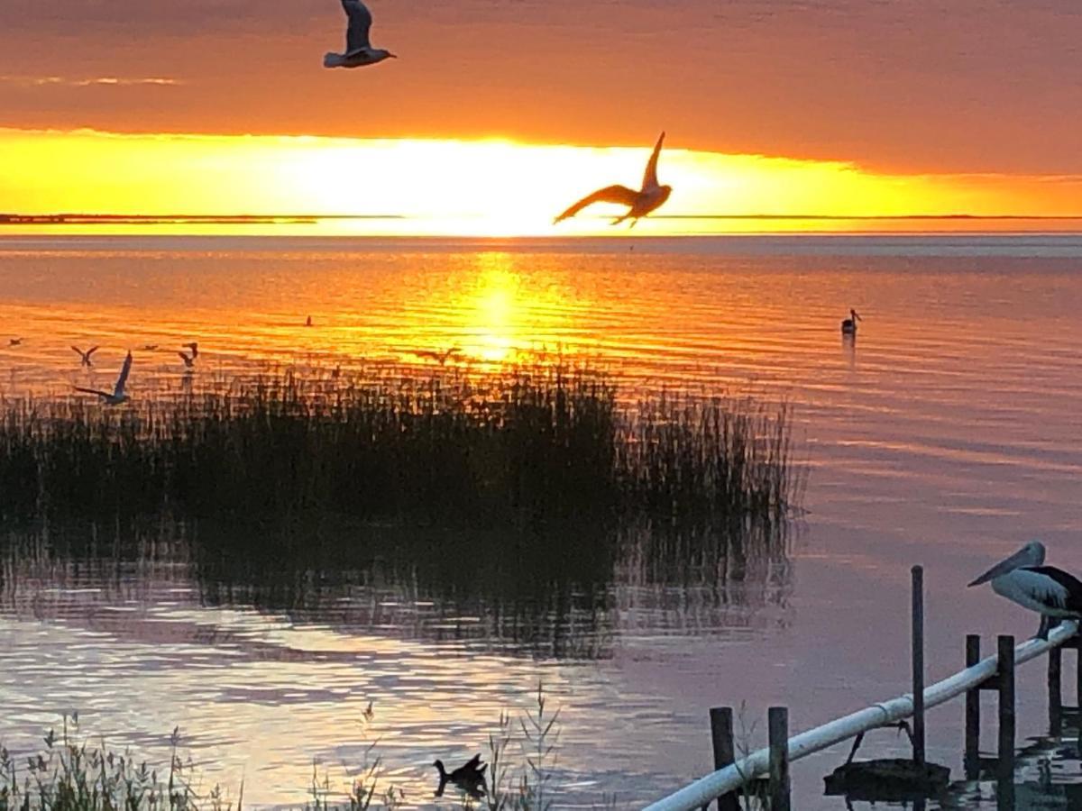 Lake Albert Motel Meningie Dış mekan fotoğraf